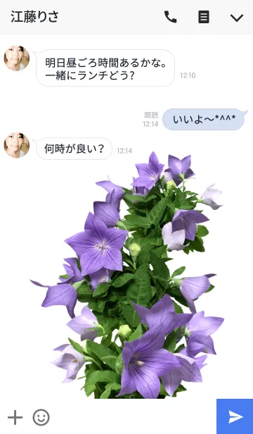 [LINE着せ替え] 桔梗（キキョウ）の着せかえの画像3