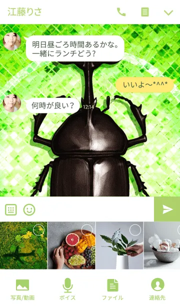 [LINE着せ替え] カブトムシ魂 2の画像4