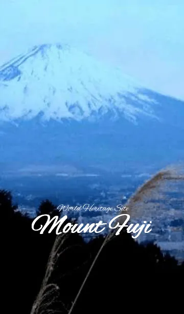 World Heritage Mount Fujiの着せ替えメイン画像