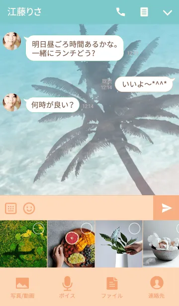 [LINE着せ替え] Shadow of palm treeの画像4