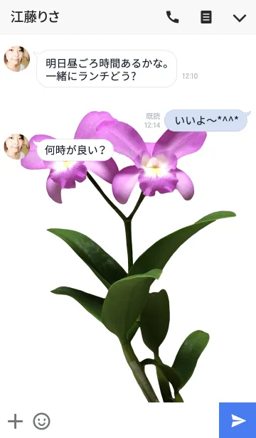 [LINE着せ替え] 蘭（ラン）の着せかえの画像3