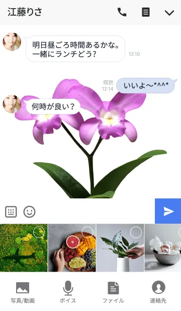 [LINE着せ替え] 蘭（ラン）の着せかえの画像4
