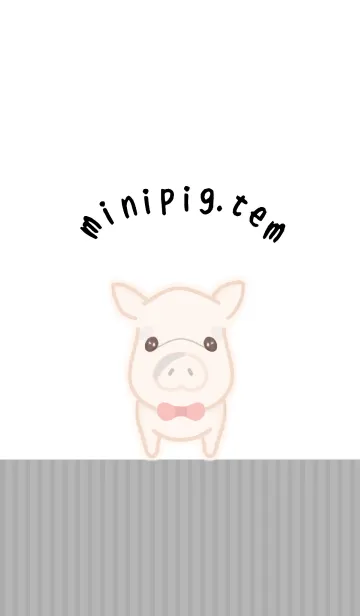 [LINE着せ替え] minipig-てんの画像1