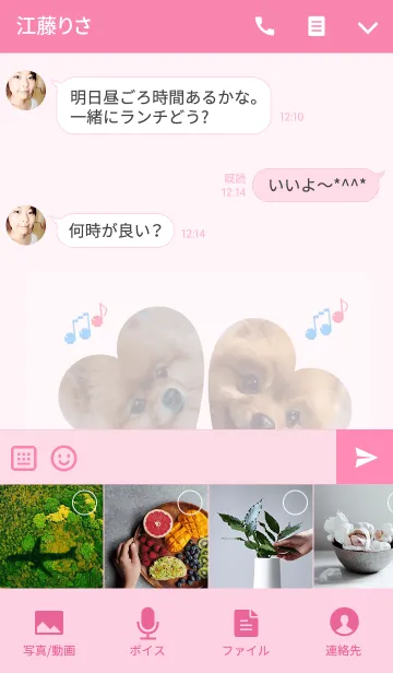 [LINE着せ替え] 可愛いポメラニアンしんちゃん5の画像4