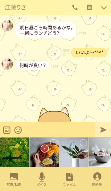 [LINE着せ替え] Simple Cute Shiba Inu themeの画像4