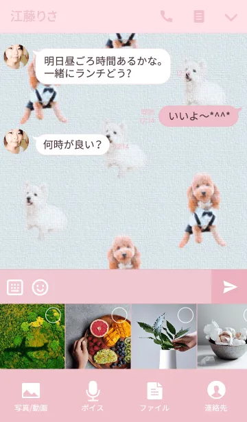 [LINE着せ替え] ショコラとなかまたちの画像4