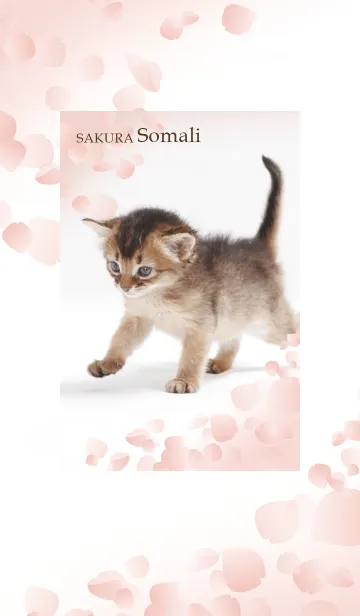 [LINE着せ替え] 桜ソマリの画像1