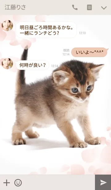 [LINE着せ替え] 桜ソマリの画像3