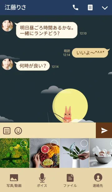 [LINE着せ替え] Rabbit In The Moonの画像4