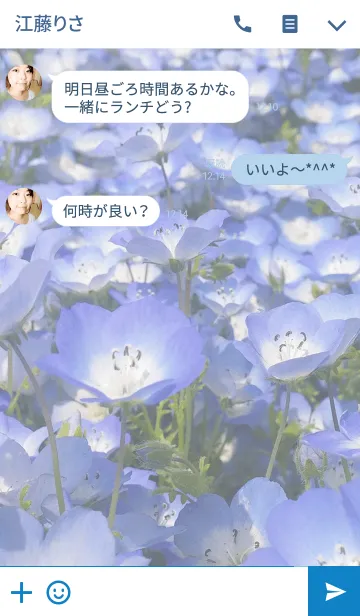 [LINE着せ替え] ネモフィラの花の画像3