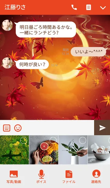 [LINE着せ替え] 紅葉蝶々の画像4