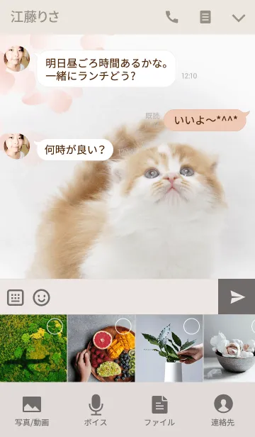 [LINE着せ替え] 桜スコティッシュの画像4