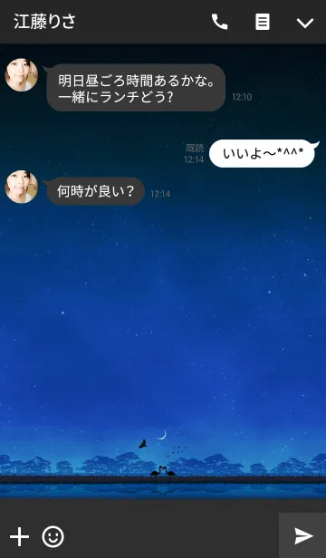 [LINE着せ替え] フラミンゴの夜の画像3