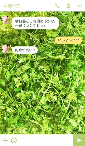 [LINE着せ替え] パクチー！の画像3