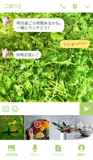 [LINE着せ替え] パクチー！の画像4