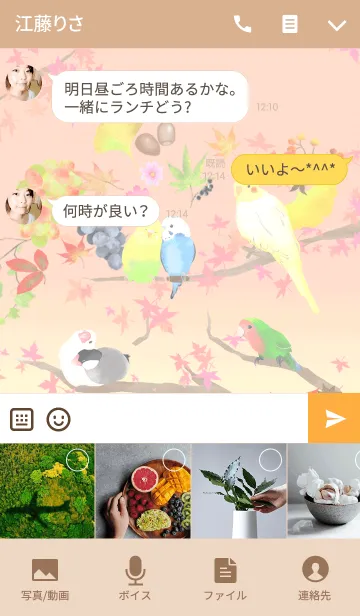 [LINE着せ替え] 鳥達の秋の画像4
