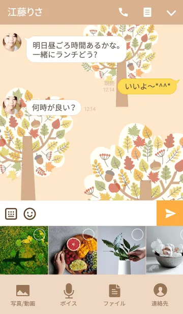 [LINE着せ替え] 秋の紅葉と北欧の森の画像4