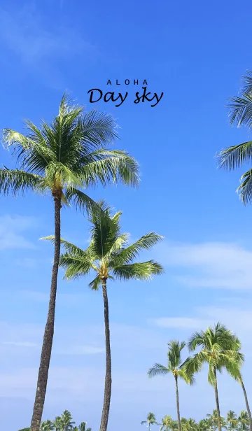 [LINE着せ替え] ALOHA -Day Sky-の画像1