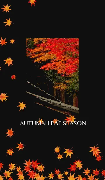 [LINE着せ替え] AUTUMN LEAF SEASONの画像1