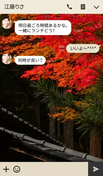 [LINE着せ替え] AUTUMN LEAF SEASONの画像3