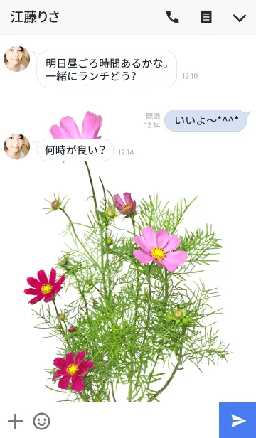 [LINE着せ替え] コスモスの着せかえの画像3
