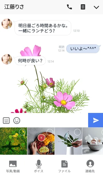 [LINE着せ替え] コスモスの着せかえの画像4
