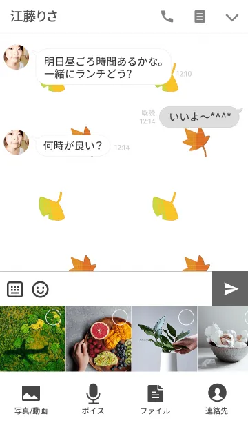 [LINE着せ替え] 葉っぱの画像4