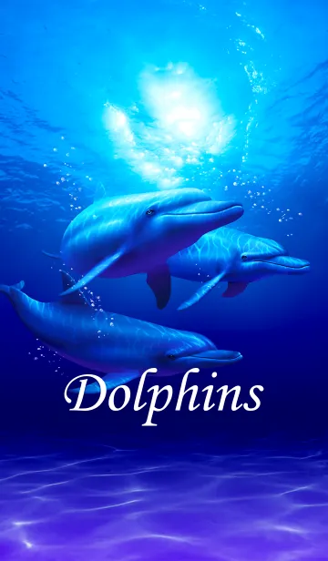 [LINE着せ替え] Dolphins（日本版）の画像1