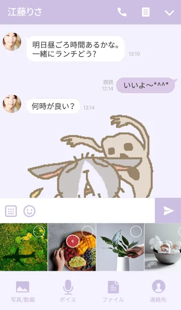 [LINE着せ替え] ハロウィンうさぎ！の画像4