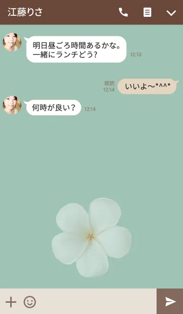 [LINE着せ替え] Simple Hawaiiの画像3