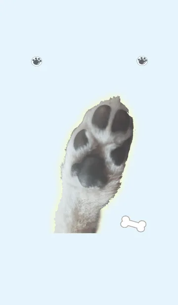 [LINE着せ替え] 肉球の着せかえの画像1