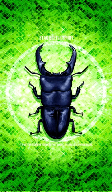 [LINE着せ替え] クワガタ魂 2の画像1