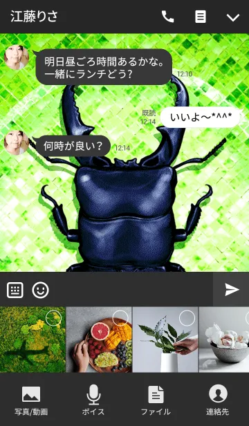 [LINE着せ替え] クワガタ魂 2の画像4
