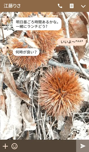 [LINE着せ替え] 秋の産物、栗の着せかえの画像3