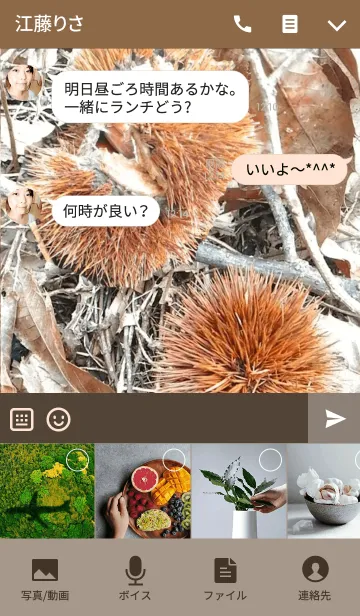 [LINE着せ替え] 秋の産物、栗の着せかえの画像4