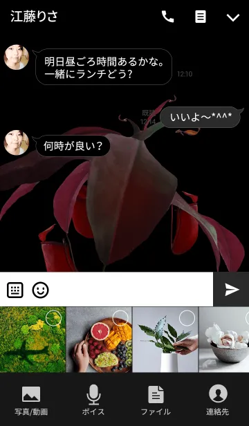 [LINE着せ替え] ウツボカズラ・Nepenthes Lady Luckの画像4