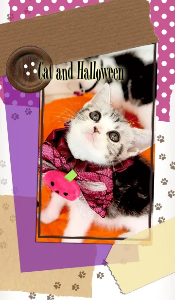 [LINE着せ替え] Cat and Halloween！の画像1