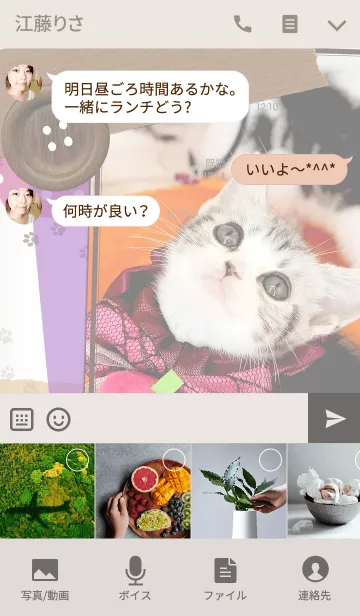 [LINE着せ替え] Cat and Halloween！の画像4