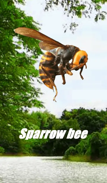 [LINE着せ替え] Sparrow bee.の画像1