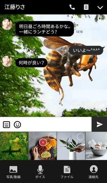[LINE着せ替え] Sparrow bee.の画像4