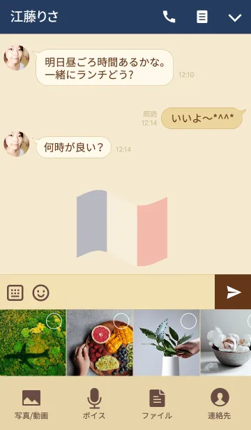 [LINE着せ替え] Simple Life in Franceの画像4