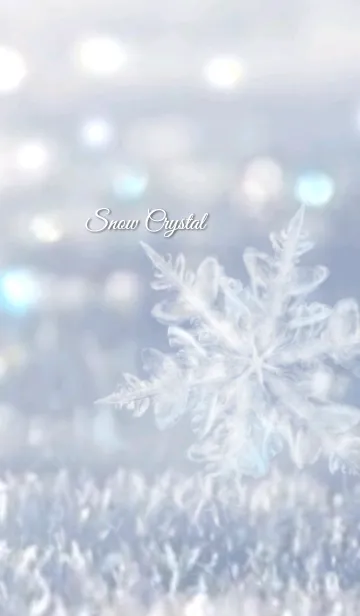 [LINE着せ替え] Snow Crystal ～朝の光に照らされて～の画像1