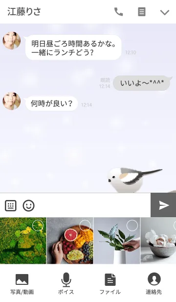 [LINE着せ替え] シマエナガ/ 白 03の画像4