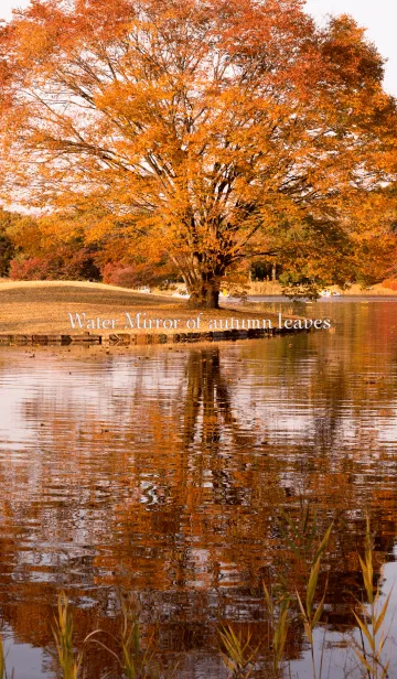 水鏡の紅葉の着せ替えメイン画像