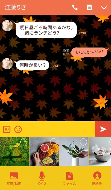 [LINE着せ替え] -Autumn Leaves-の画像4