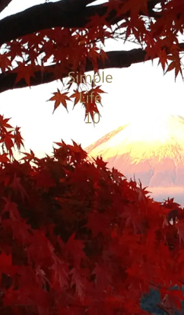 [LINE着せ替え] Simple Life 10の画像1