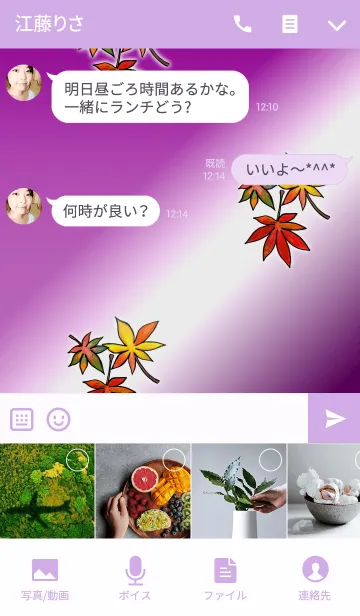 [LINE着せ替え] Green Leaf-10-Autumn colors-(Red-Purple)の画像4
