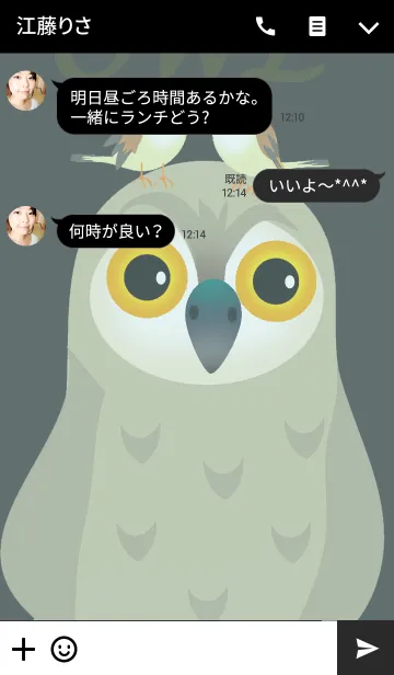 [LINE着せ替え] 幸福の梟の画像3