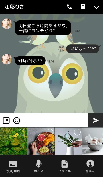 [LINE着せ替え] 幸福の梟の画像4