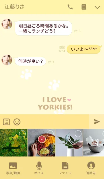 [LINE着せ替え] ふわかわワンコテーマ～ヨーキー編～の画像4